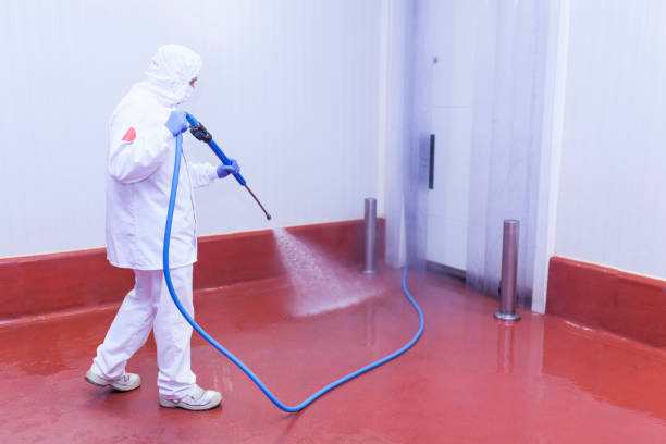 Best Patio and Deck Pressure Washing  in Rock Creek, MN